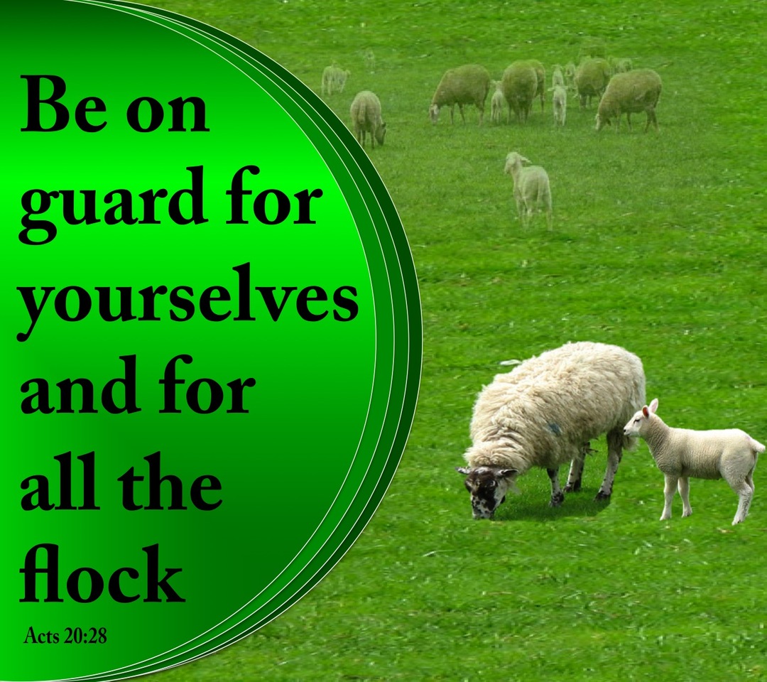 Acts 20:28 Be On Your Guard (green)